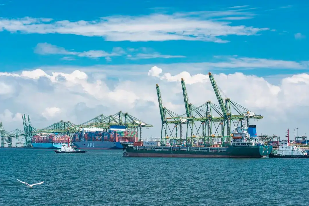 1669947645610866.png bcfd4766dd8a29d81f17a71b7c242323.png